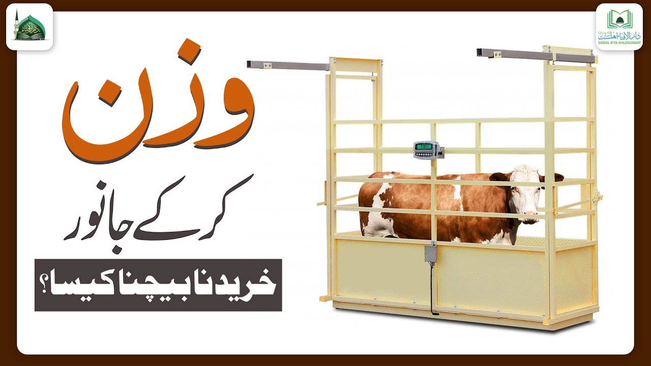 Wazan Karke Janwar Kharidna Kaisa?